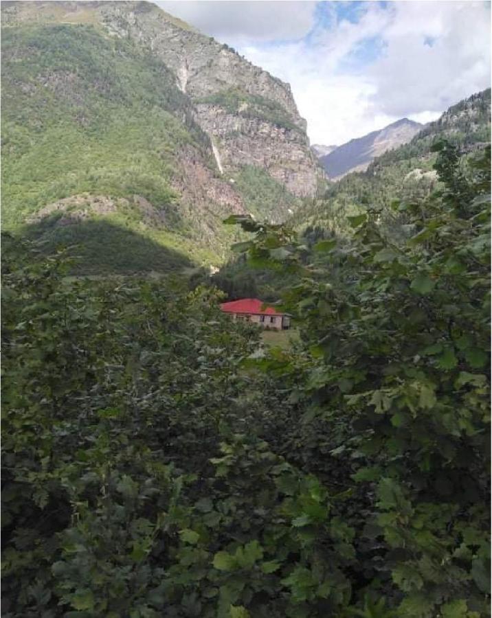 Zhabeshi Guest House Malkhaz Niguriani المظهر الخارجي الصورة