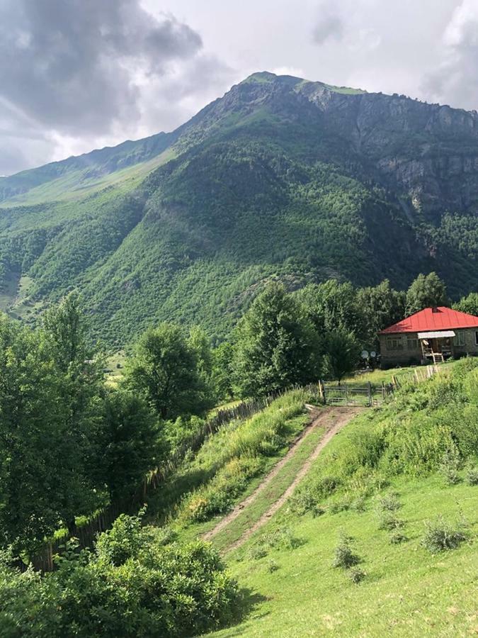 Zhabeshi Guest House Malkhaz Niguriani المظهر الخارجي الصورة